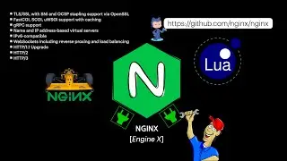 NGINX for beginners! A fascinating piece of software that is free for use! (in 6 minutes)