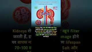 Kidney 150&ndash;180 Litre Blood Filter Karti Hai 😱 | Salt & Sugar Se Kidney Damage Truth #kidneyhealth