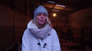 Calf Rearing: Animal Welfare and Health & Safety