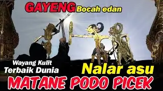Derr !!! Bocah ndugal ngamuk ugal ugalan Wiwit sore wayang kulit Ki Seno nugroho
