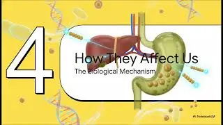 Why Gallbladder Risk Doubles on GLP-1s (New Data)