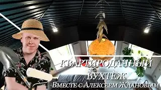 КвартироДачный бухтёж | Комната МРТ и Поместье Графа Дракулы | Хайлайты | #21