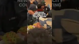 Protesters removed from New Orleans City Council meeting