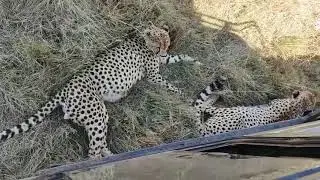 Adrenalina a palla con Donamasai Kenya