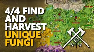 Find and Harvest Unique Fungi New World