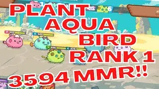 Rank 1 3594 MMR Plant Arco Aqua Eggshell Bird | Season 20 | Axie Infinity