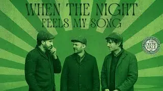 Bedouin Soundclash, When The Night Feels My Song, Irish Folk Cover