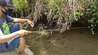 Mancing wader kali boyong banyak ikannya