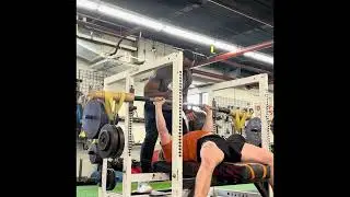 Speed bench 175 and bamboo bar