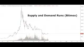 Освоение размещения лимитных ордеров (Bitmex)