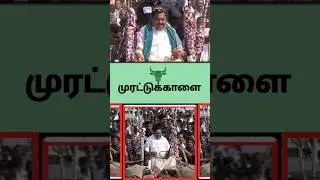 யாருக்கும் பயமுமில்ல #edappadipalanisamy #video #pongal #pongal2026 #celebration #salem #shorts #tn
