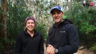 Boranup Karri Trees