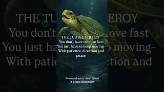 The Turtle Theory of Success 🐢#viral #turtle #shorts #motivation #ytshorts