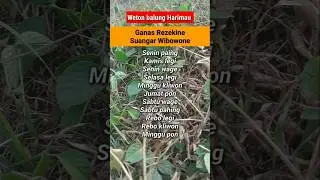 weton balung harimau #primbonjawa #weton #wetonjawa #primbon