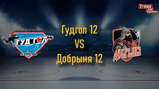 Гудгол 12 - Добрыня 12, 17.12.2022