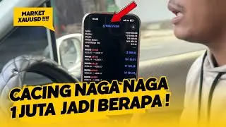 DAY 5 - Daily Trading Uang 1 Juta Jadi Berapa Belanja Kopi Kenangan Murah Banget - XAUUSD & BTCUSD