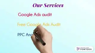 Professional PPC audit