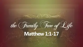 Sunday Morning Live 12/13/20 - Family Tree of Life - Matthew 1:1-17
