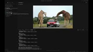 YOLO Model Assessment &ndash; PyTorch & ONNX Inference | Conversion + IoU Comparison | AI.SEE
