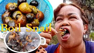 Boil Snail Eat With Spicy Chili Sauce At Rice Fields, ASMR Eating Boil Snail Very Spicy