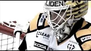 SHL 2013/14