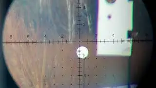 150m 20см H&N slug 1,75gr ЗАМЕДЛЕННО