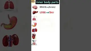 Inner body parts in   english#bodyparts #youtubeshorts