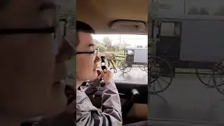 Experience In Lancaster， PA （Buggy： a light one-horse carriage)