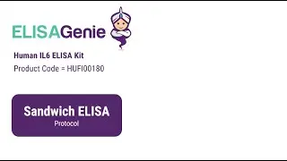 Human IL6 ELISA Kit (SKU: HUFI00180) - ELISA Genie