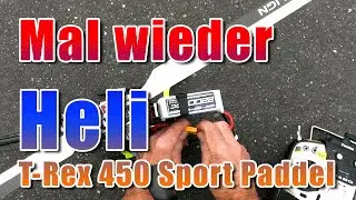 Mal wieder Heli -T-Rex 450 Sport Paddel-