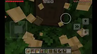 Survival wereld van mijn broer