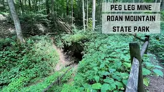 Peg Leg Mine Trail - Roan Mountain, TN