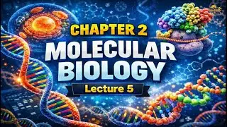 Grade 12 Biology Chapter 2 Lecture 5