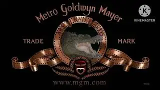 The crocodile hunter collision course