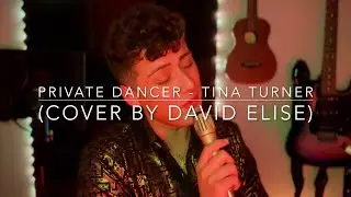 Private Dancer - Tina Turner (Cover by David Elise)