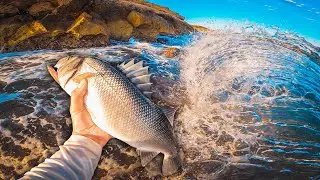 NO Podía SALIR del AGUA con la LUBINA [Cómo afecta la LUNA 🌓 a la PESCA] | Lured Vlog 199