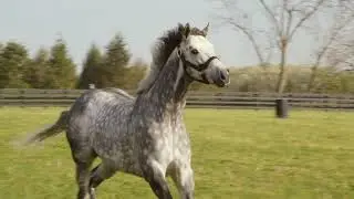 Tours at Jonabell Farm in Kentucky