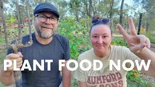 The Victory Garden is Back - And Australia Needs it Now