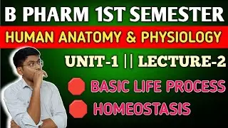 BASIC LIFE PROCESS | HOMEOSTASIS | HUMAN ANATOMY AND PHYSIOLOGY B PHARM FIRST SEMESTER UNIT-1 | L-2