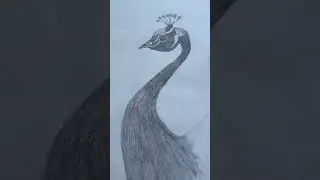 New Sketch ✍️ plz enjoy 😉