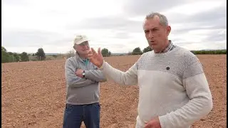 Finca vieja de naranjos , volver a empezar | explicación.