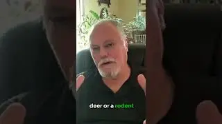 🧬 &ldquo;Estrogen is what makes women, testosterone is what makes men.&rdquo;