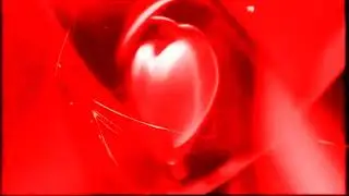 Showtime Networks logo