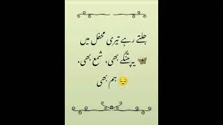 Jalte Rahe Teri Mehfil Mein | Heart Touching Urdu Shayari |#UrduShayari #SadQuotes #KhamoshiDilSeSKF