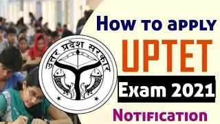 UPTET 2021 Notification Apply Online Application Form News: How to Apply For UPTET 2021