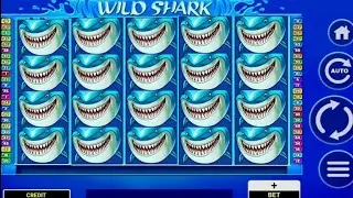 FORZZA WILD SHARK CASINO SLOTS /Forzza.com orge bet24 bonus/ فورزا و المصروفSLOTS MACHINE