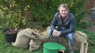 Our patron David Domoney talks about keeping hedgehogs safe this #BonfireNight #rememberhedgehogs
