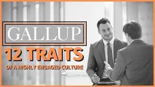 Top 12 Traits of a High-Performance Company Culture (from a Gallup Engagement Survey) PART 2