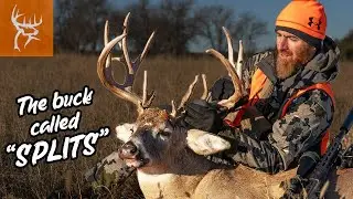 Rochey Hunting a Buck called 