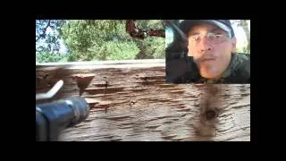 Mr. Paintball Zombie Survival (Gun Cam Wil Willis Style) Part: 1 